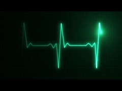 introdução da empresa